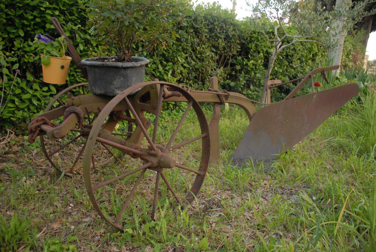 Fattoria Nonno Neno B&B Appignano  エクステリア 写真